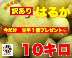 今年最後！はるか10キロ