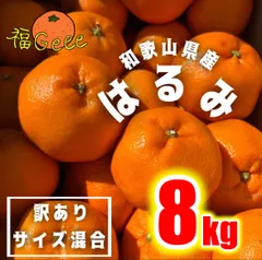 【産地直送】和歌山県産 はるみ サイズ混合 8kg 訳あり 有田みかん