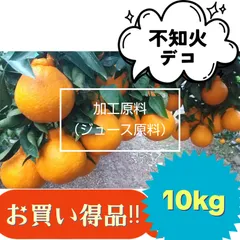 ꕤ不知火デコ【加工原料（ジュース原料）】10kg 熊本みかん