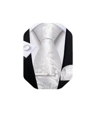 メンズ セット タイピン フォーマル カフスネクタイ 入学式 ハンカチ ビジネス ネクタイ 結婚式 [DiBanGu]