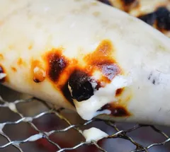 赤字覚悟限定1セット★痛風注意⚠️❤️‍🔥痛風セット売っちゃいます😂🍺しらこ　あんきも　牡蠣