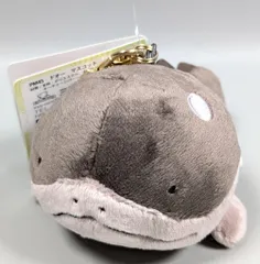 三英貿易 マスコット/ALLSTAR COLLECTION ポケットモンスター ドオー