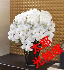 光触媒 人工観葉植物 ウォールグリーン ウォールグリーン フィカスフイ