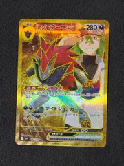 2026年最新】Nのゾロアークurの人気アイテム - メルカリ