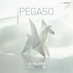Pegaso(中古品)