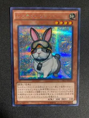 BF0208　レスキューラビット シークレット