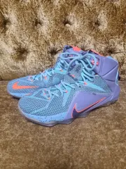 ナイキ レブロン 12