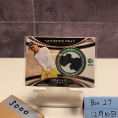 Item thumbnail for item 30c95b67-4910-4a42-aa6a-2f278a8b7cd1