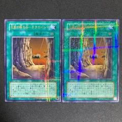 2026年最新】ネクロバレー パラレルの人気アイテム - メルカリ