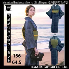 マ　未使用近い　美品　薄物　夏着物　正絹　江戸小紋　フルセット