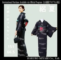 フ9971未使用近い　美品　絽　夏着物　薄物　正絹　小紋　フルセット