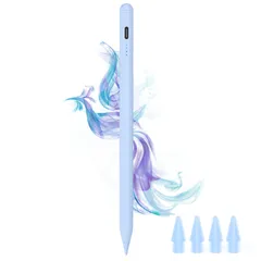 【2025新登場】タッチペン iPad ペン Type-c 充電磁気 ipad pencil スタイラスペン 傾き感知/誤作動防対応 アップルペンシル（2018-2023）iPad 6/7/8/9/10, iPad Air 3/4/5, iPad M ...