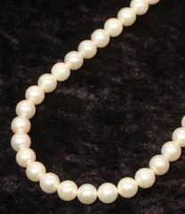 ネックレス パール6.5-7.0mm