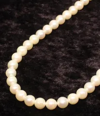 美品 ネックレス SILVER パール7.0-7.5mm レディース