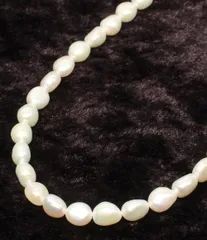 美品 ネックレス SILVER 淡水パール約4mm