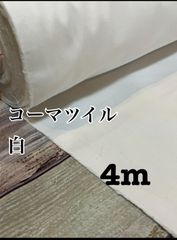 Item thumbnail for item 5ccf7e40-dc37-4ab0-b9cf-c740375bdbfd