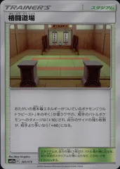 161/173/SM12A/格闘道場のサムネイル