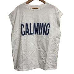 美品 23SS Spick and Span スピックアンドスパン CALMINGフレンチT カットソー サイズF ホワイト レディース 古着 中古 USED