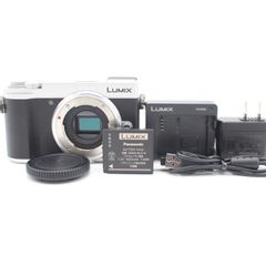 1635ショット GX7MK3 純正予備電池、純正グリップなどのセット - メルカリ