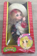 超貴重品キャンディ・キャンディ 人形 Bタイプ ポピーMADE IN JAPAN