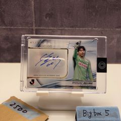 Item thumbnail for item a61eee35-13ab-4622-a646-3e8c96b67922