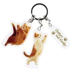 アクリル キーホルダー 3連 茶太郎ときなこ 猫 （ キーリング チャーム ねこ 茶太郎 きなこ アクリルキーホルダー バッグチャーム 鍵 かわいい 動物 バッグ カギ 紛失防止 車 家 自転車 キー 定期 パスケース リング付き ）