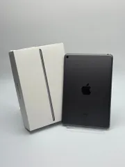 【箱付き中古B】iPad mini 第5世代 64GB スペースグレイ Wi-Fi バッテリー【86%】
