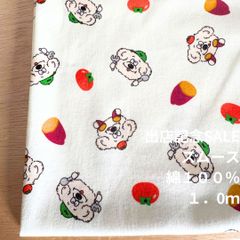 Item thumbnail for item 32e443b7-dc96-4c56-88cb-9008109128e2