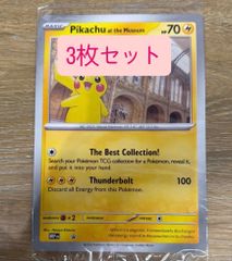 Pikachu at the Museum ロンドン自然史博物館 ピカチュウ F - メルカリ