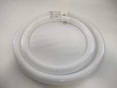 Item thumbnail for item 2e916bf1-bd07-4a6c-91e6-cd952d663671