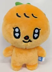 SEVENTEEN SEUNGKWAN MINITEEN PLUSH TOY *外袋欠