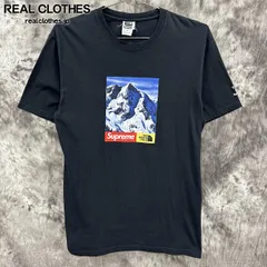 Supreme×THE NORTH FAC シュプリーム×ノースフェイス【17AW】Mountain Tee/マウンテン プリント 半袖Tシャツ/ブラック/M