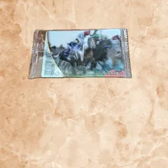 ドウデュース／武豊　サラブレッドホースコレクション 第3R