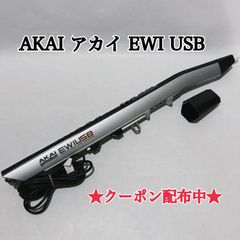 AKAI 아카이 EWI USB 전자 윈드 신디사이저 전자 악기