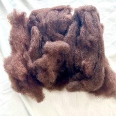 Item thumbnail for item ae100310-acb6-462b-bd68-40bc1ec21ba1