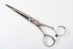 Item thumbnail for item 0e15dac2-85b3-4800-aa61-1ae77cedf5ed