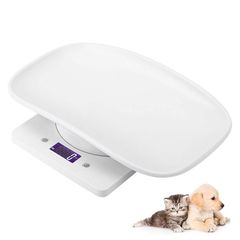 Item thumbnail for item e415b4a2-ec73-4329-b128-e5895102fea5