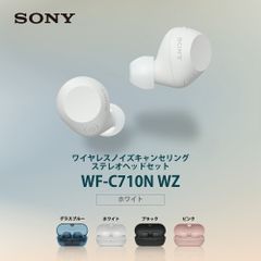 Master&Dynamic MW07 ノイキャン 未使用 - メルカリ
