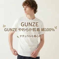 グンゼ インナーシャツ やわらか肌着 綿100% 2枚セット メンズ 半袖 丸首 抗菌防臭 SV61142 GUNZE 下着 アンダーウェア 紳士 肌着 白 無地 吸汗 定番 快適