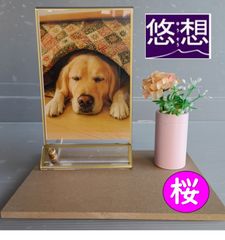 Item thumbnail for item a8279508-e355-4728-ad83-0fcb9eb4ff83