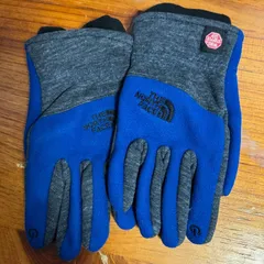 【1営業日発送】THE NORTH FACE ノースフェイス Windstopper Etip Glove 手袋 L ブルー  ユニセックス US企画海外限定品