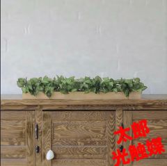 光触媒 人工観葉植物 ウォールグリーン ウォールグリーン フィカスフイ