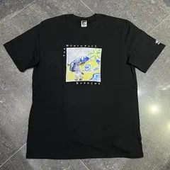 Supreme 22ss The North Face Sketch S/S Top SIZE-L シュプリーム×ザノースフェイス スケッチ半袖Tシャツ 南堀江店