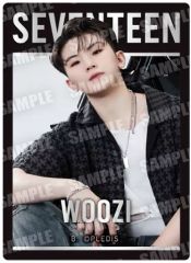 [중고] 식완 스티커 씰 20. [SVT GUMMI From PLEDIS ENTERTAINMENT SEVENTEEN]