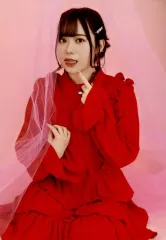 【中古】生写真(女性) 伊達さゆり/全身/Apollo Bay OFFICIAL FANCLUB 『Apollo Bay Cruiser』会員限定 オンラインフォトプリント 個人ブロマイド バレンタイン衣装撮り下ろし写真