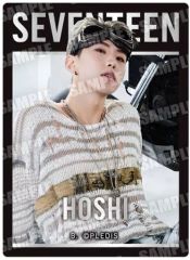 [중고] 식완 스티커 씰 18. [SVT GUMMI From PLEDIS ENTERTAINMENT SEVENTEEN]