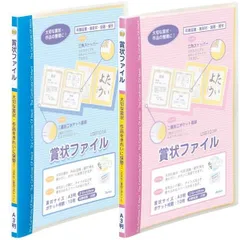 レイメイ藤井 賞状ファイル A3 ブルー/LSB101A ピンク/LSB101P レイメイ藤井 作品収納 思い出ボックス シンプル 無地 文房具 仕分けのサムネイル