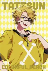 【中古】キャラカード たっつん(等身/通常衣装) トレーディングカード 「落ちた先はワンダーランド!? ～カラフルピーチの不思議の国へようこそ!～ アニメイトオンリーショップ」