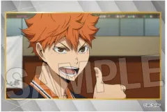 【新品】ポップスタンド・パネル 14.日向翔陽(決めポーズ) スタパネ ミニ vol.9 「ハイキュー!!」