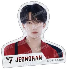 [중고] 식완 스티커 씰 2. [SVT GUMMI2 From PLEDIS ENTERTAINMENT SEVENTEEN]
